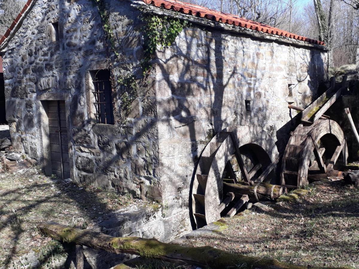 Wine House Rakar Vendégház Gračišče Kültér fotó