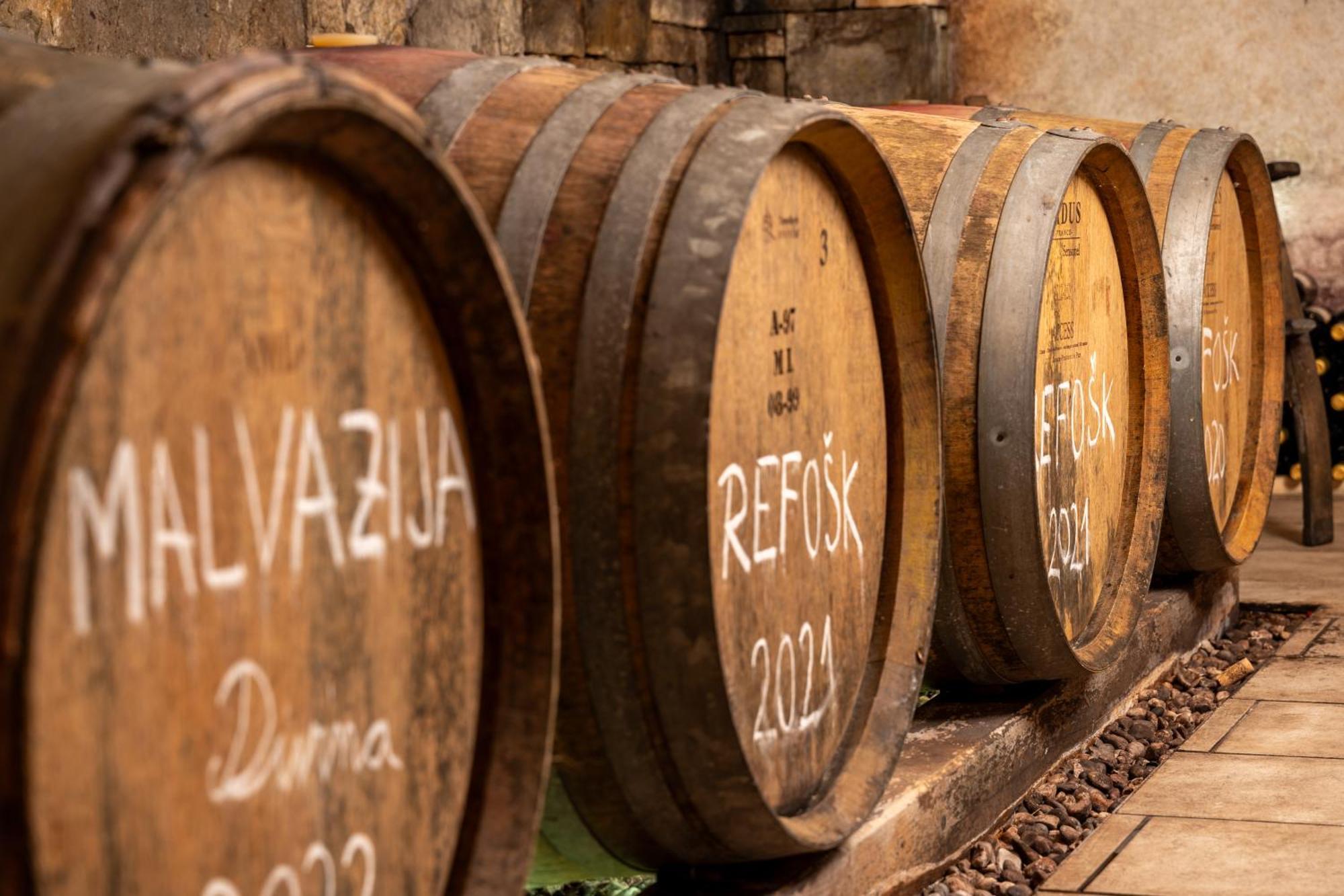 Wine House Rakar Vendégház Gračišče Kültér fotó