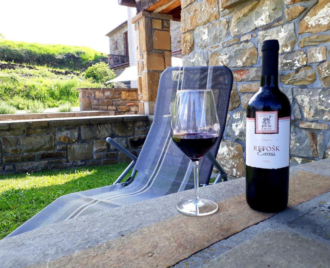 Wine House Rakar Vendégház Gračišče Kültér fotó