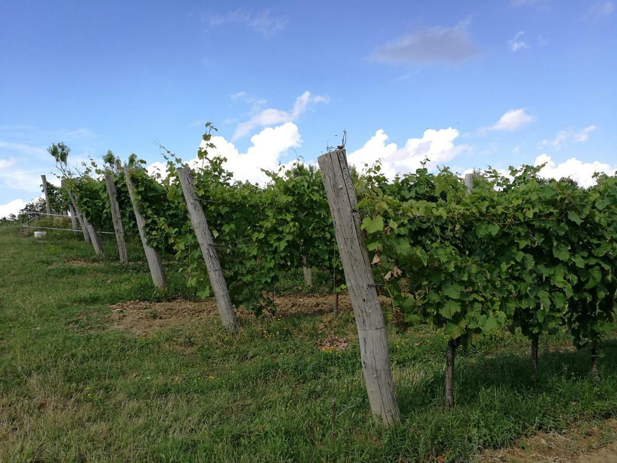Wine House Rakar Vendégház Gračišče Kültér fotó